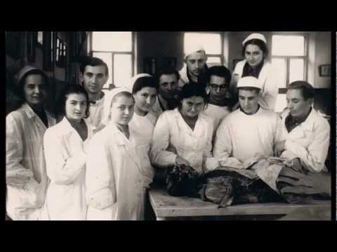 Mila Fainstein (Chertock) - 80 celebration