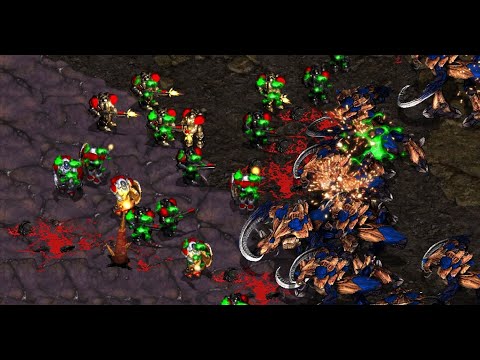 Sunday Live Stream! Falcon casts YOUR REPLAYS and PRO REPLAYS! AND FFA! UMS! FME!