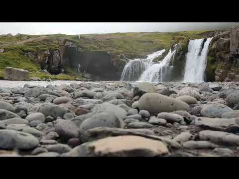 silence of nature music