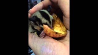video from Francis Lim’s iPhone