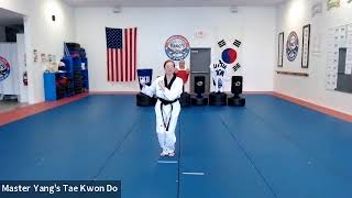 Live Class - Little Tigers & Yellow Stripe - 4.22.20 @ 4pm