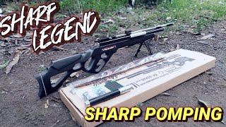 Download lagu Review Senapan Legend!!! Sharp River Pomping (Pompa Samping) mp3