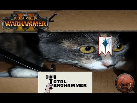 Elven Boxes: Pretty, Deadly, Cubic-ly Formed - HE vs Greenskins | Total War Warhammer 2 Quick Battle