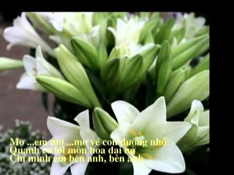 Tháng tư về - Hồng Nhung