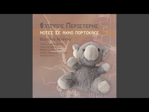 In The Shadow Of A Storm