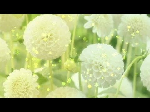 download lagu mp3 mp4 Music Flower Gif, download mp3 Music Flower Gif free download mp3, download mp3 Music Flower Gif