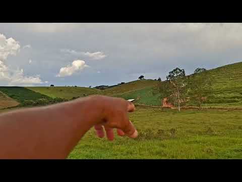 Turvao município de Ervalia Mg, Parte 1