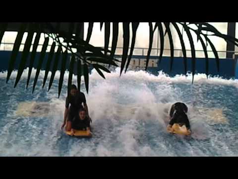 HDM  MB1 -  DWD 22-01-2011