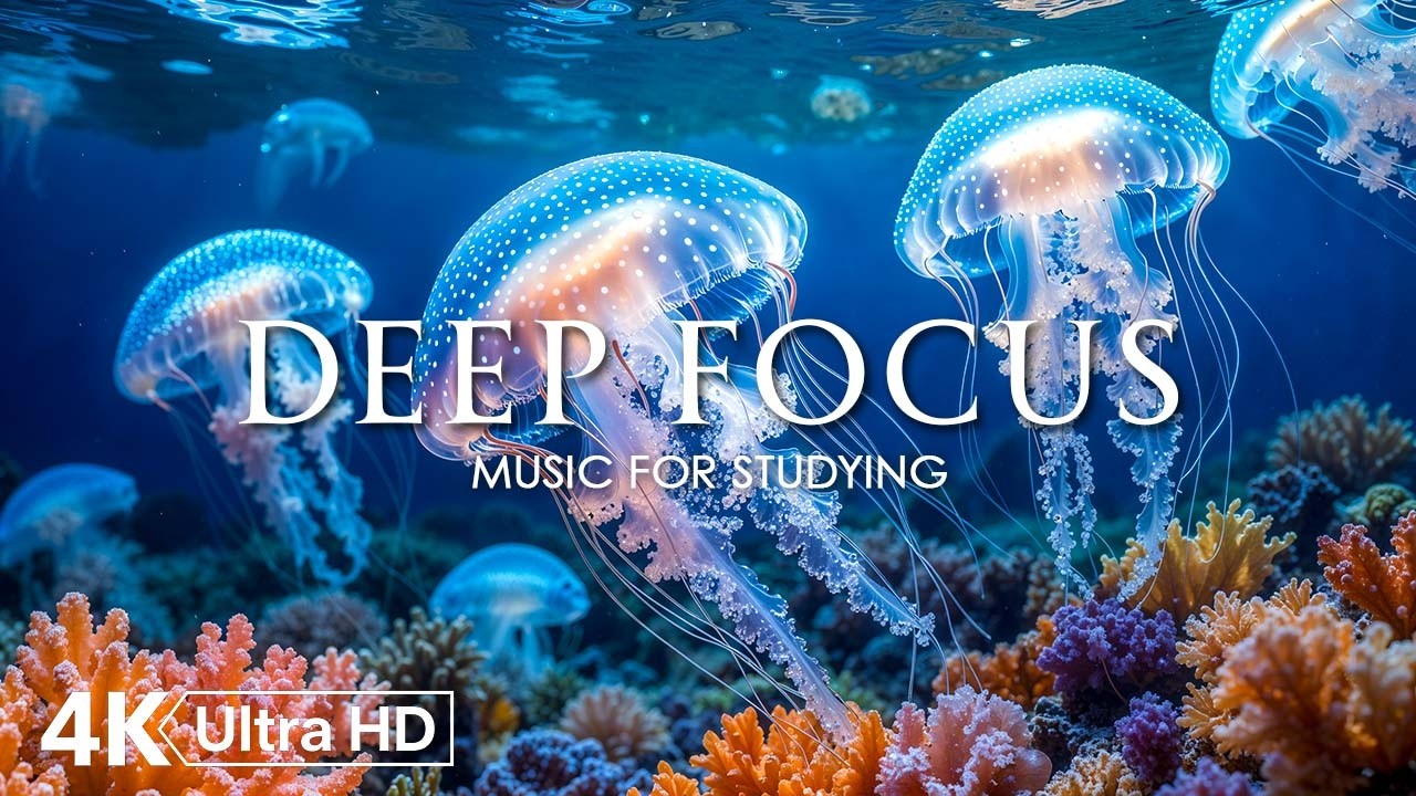 Deep Focus Music To Improve Concentration - 12 Hours of Ambient Study Music to Concentrate #934