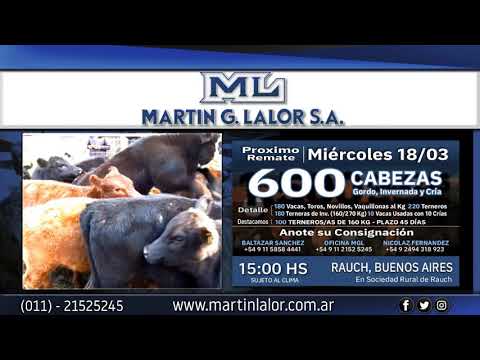 18-03-20 - Martín G. Lalor en Rauch - 600 Vacunos