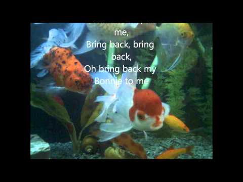 My Bonnie Lies Over The Ocean - Vipers Skiffle Group (unprecedented in youtube - with lyrics)