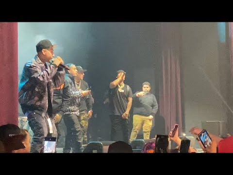 MONEYSIGN SUEDE X BRAVO THE BAGCHASER - VETERAN LIVE