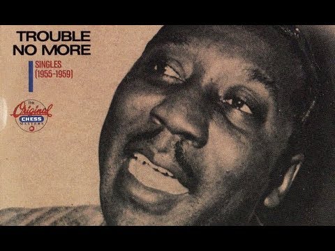 Muddy Waters - She's Into Something (ft. James Cotton on harmonica)