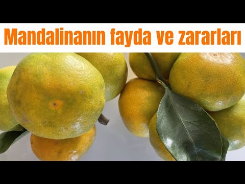 , title : 'Meyveleri sever misin ? gel mandalinanın fayda ve zararlarına bak'