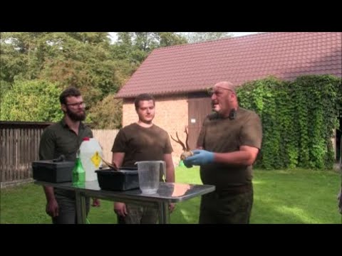 Spotkałem Myśliwych-odcinek 256 Łowiectwo bez tajemnic Część 4 Stażyści, parostki i frytki z rogacza