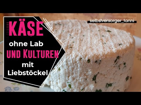 , title : 'DIY Käse zuhause herstellen  | Paneer selber machen | Käse ohne Kulturen | Käse ohne Lab herstellen'