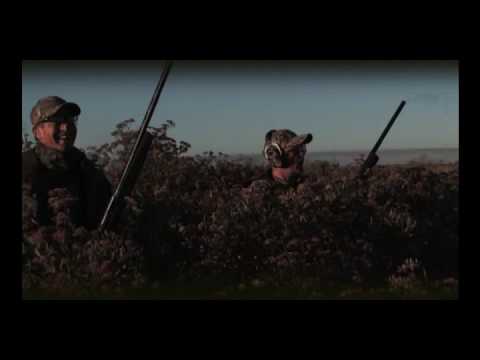 https://www.youtube.com/embed/WEXjYPphXys