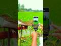 Creative Ideas Video Amazing Videography Shorts Creative Nature Viralvideo Photography