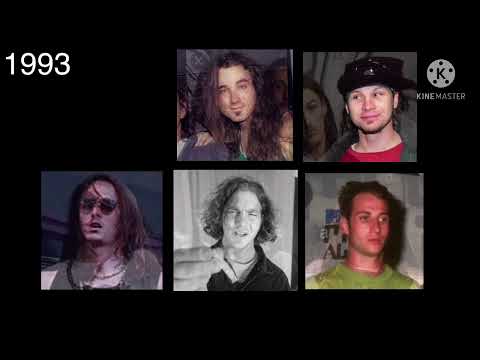 The Evolution Of Pearl Jam ( 1990 To 2020 )