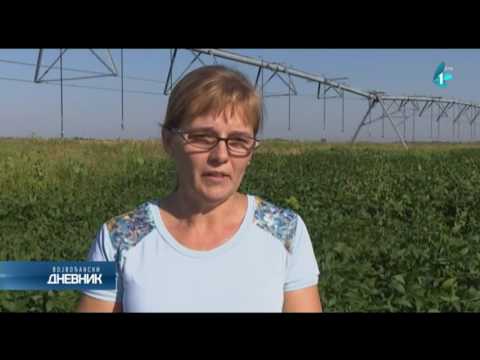 SO: Za postrnu setvu neophodno navodnjavanje