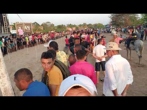 Festejos Miguel Alves-pi