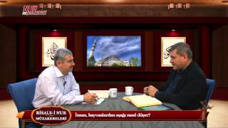 Risale-i Nur Müzakereleri - İnsan, hayvanlardan aşağı nasıl düşer?