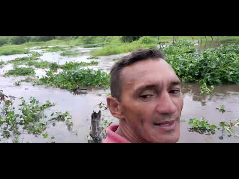 enchente em questão de segundo no rio Mamanguape Mulungu Paraíba#nordeste