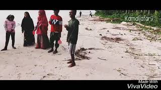 preview picture of video 'Kepulauan Aru (Dobo)'