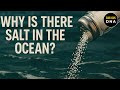 Why there is salt in the ocean?