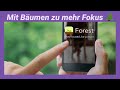 Forest App - Mit Time Blocking zu besserem Fokus