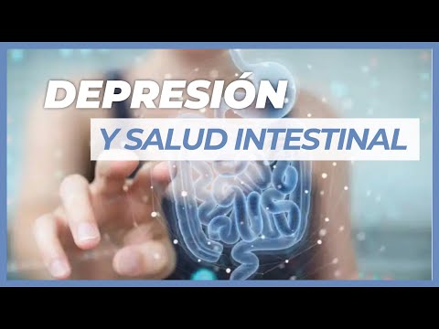 La Relacion Entre La Salud Intestinal y La Depresión