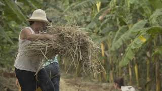"Café e Agrofloresta"