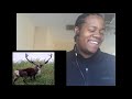 WESLEY WILLIS-SUCK A CARIBOUS'S ASS!!!! [OFFICIAL REACTION]