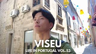 ポルトガルの暮らしやすい街1位 「Viseu」で人生で一番美しい道と出会う感動の旅