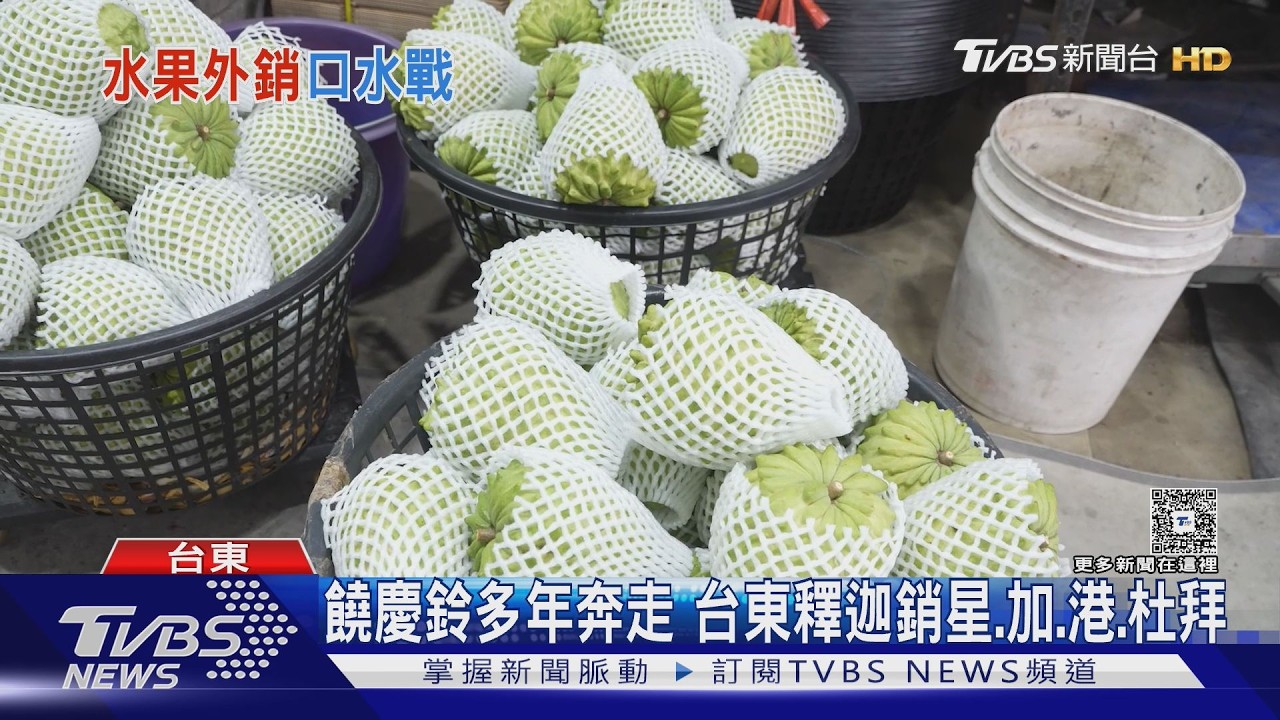 芒果外銷法國、釋迦卻卡?饒慶鈴稱:中央沒幫談關稅