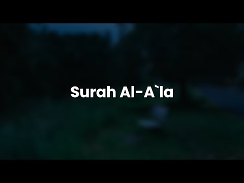 Surat Al-A'la (The Most High) | Mahdi ash Shishani | مهدي الشيشاني | سورة الأعلى