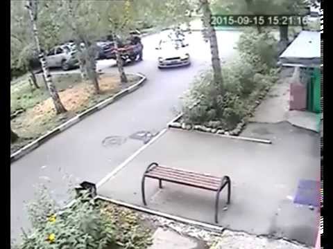 Kradzież ziemniaków
