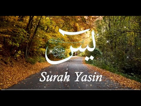 SURAH YASIN | (The heart of the Quran) | Mishary Rashid Alafasy