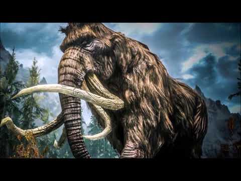 Alles über den "Wollhaarmammut"