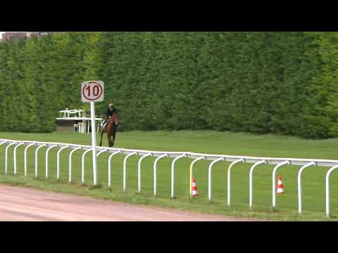 Breeze-Up Osarus 2020 - Lot 72