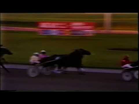 N.J Koster Memorial 1979 - Tarok & Jørn Laursen 1.16,7 2040m