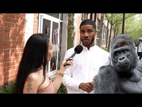 100 Men vs 1 Gorilla?! | Street Reactions Get Wild