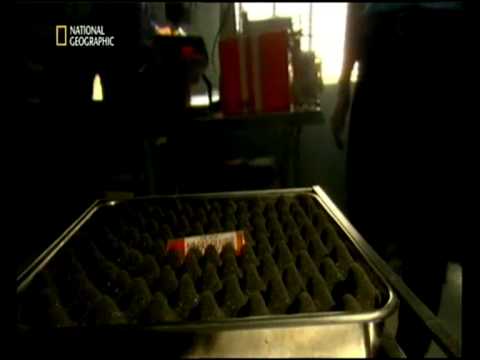 mayday alarm im cockpit - auf kollisionskurs über dem amazonas Teil 4