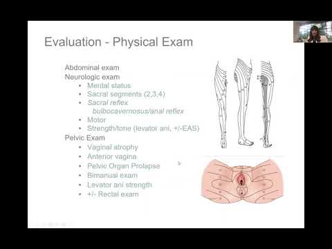 Newton-Wellesley Medical Group Lunch & Learn: Female urinary incontinence
