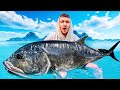 Solo Rock Fishing In Extreme Conditions Insane Catch