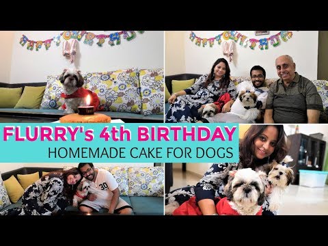 Flurry's Birthday | What Are We Shopping For The New Home | DIY Doggie Cake