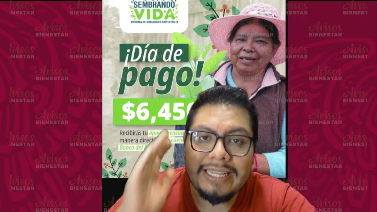 ¡YA CAYO EL PAGO! del programa sembrando vida, mayo 2026, no se te pase