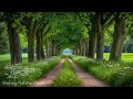 Restore The Nervous System Beautiful Relaxing Music Nature Sounds For Deep Sleep Reduce Stress