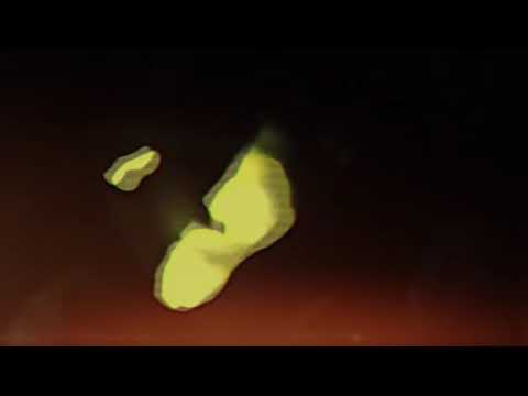 B.O.M JR - (RED DOG) 