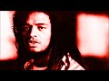 Maxi Priest - In The Springtime (Peel Session)